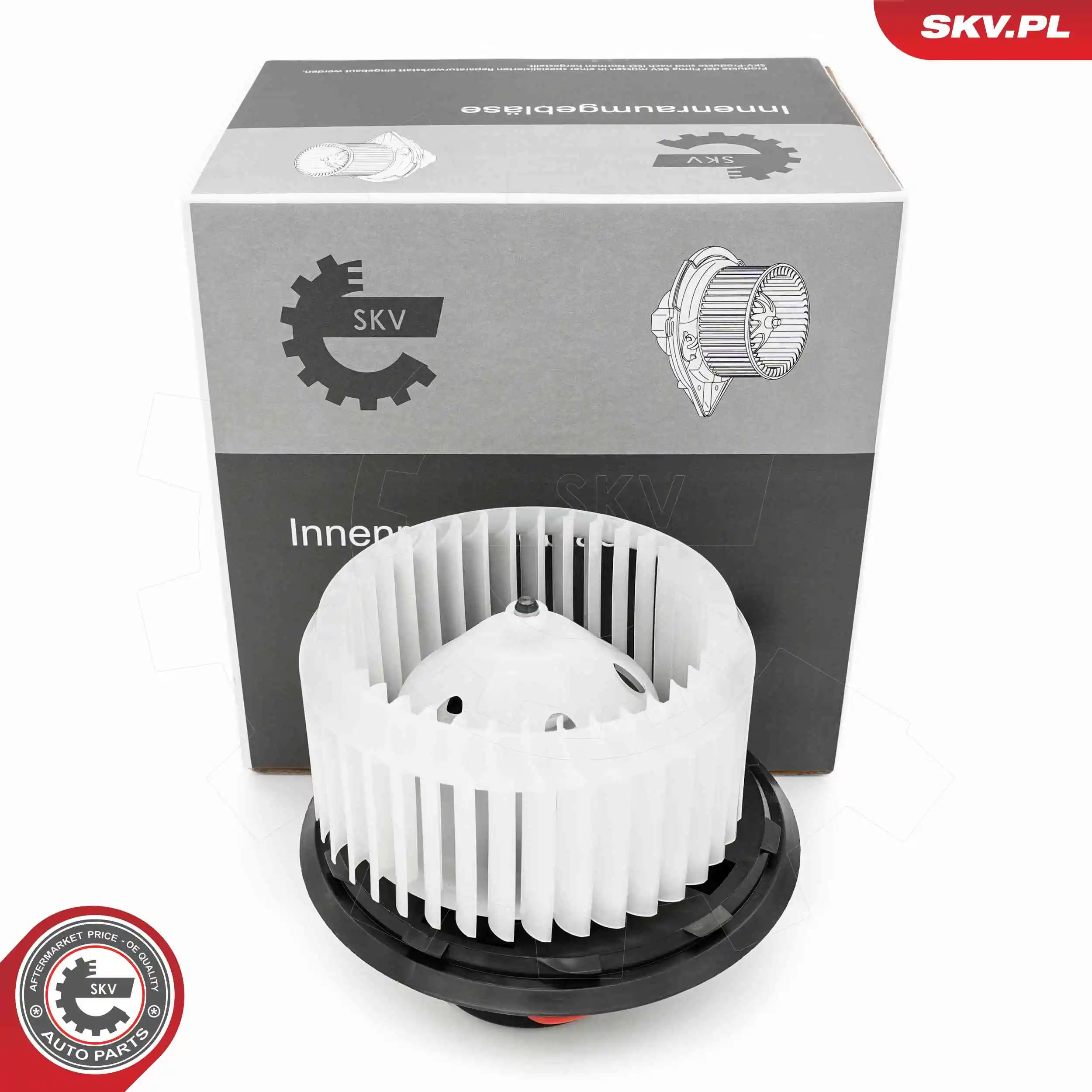 Interior Blower